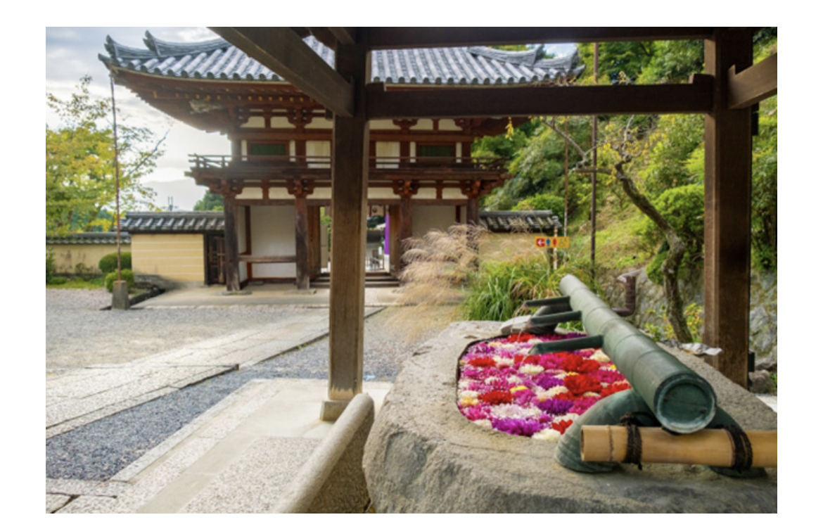 コロナ　新ビジネス　新規事業　花手水　手水舎　神社　寺院　SNS　フォトジェニック　映え