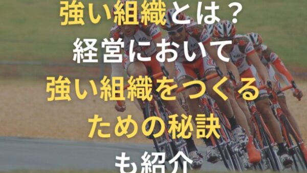 強い組織とは？経営において強い組織をつくるための秘訣も紹介