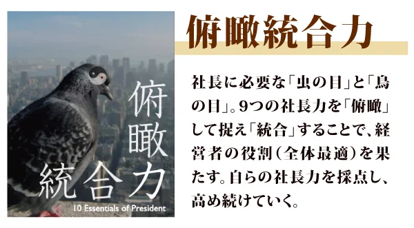 俯瞰統合力