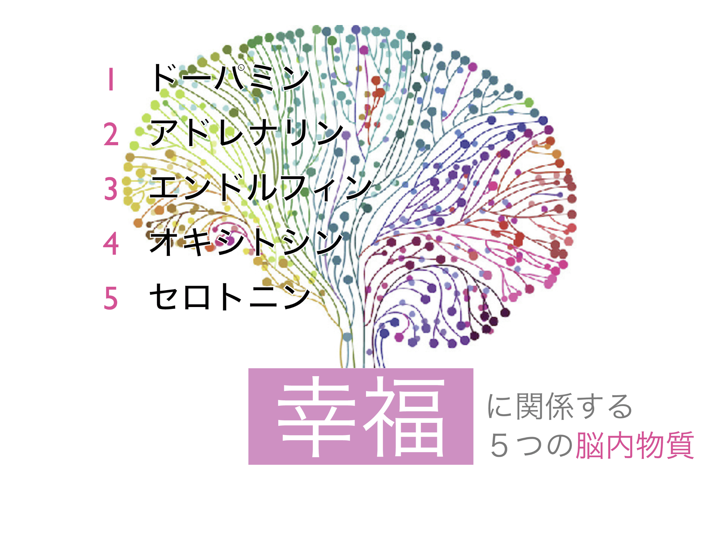 img20231006014542081269.png
